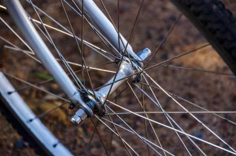 Bicycle wheel spokes. Stock Photos