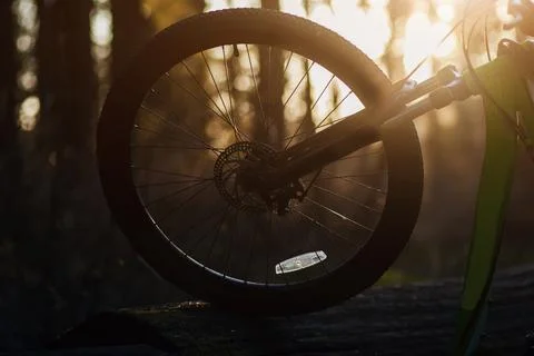 Bicycle wheel at sunset Stock Photos
