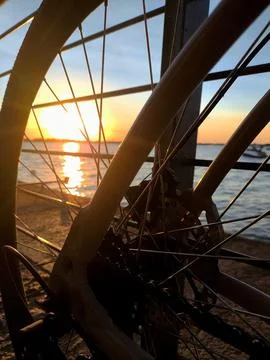 Bicycle wheel at sunset Stock Photos