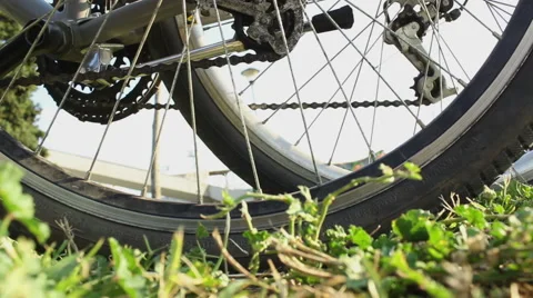 Bicycle wheels at grass Stock Footage 66200853