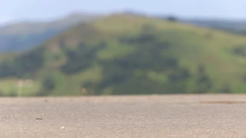 Bicycle wheels passing. Stock Footage 166924774