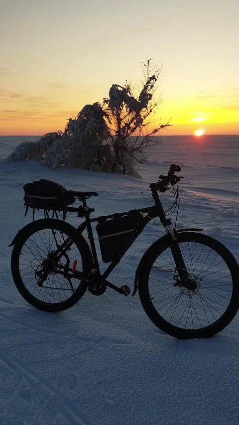 Bicycle in winter at sunset in the steppe Stock Footage 309881230