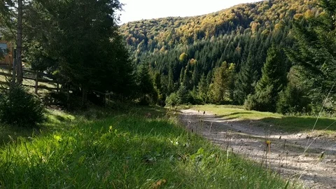 The bicycler running uphill 動画素材 99339741