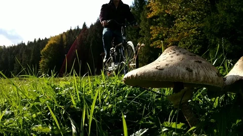Bicycler stops near mushrooms. Stock Footage