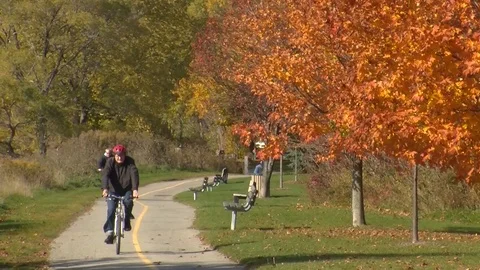 Bicycles On An Autumn Path Stock Footage 108795002