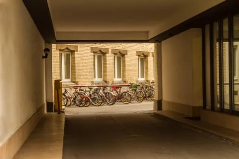 Bicycles in a backyard Stock Photos
