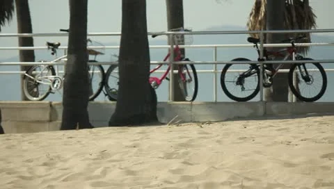 Bicycles on Beach Stock Footage 11360106