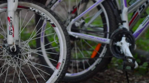 Bicycles Closeup in Forest Stock Footage 63108688