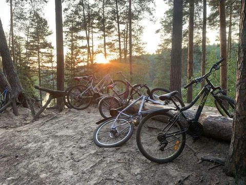 Bicycles in the forest Stock Photos