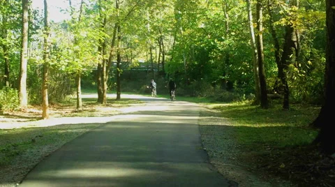 Bicycles in the Park Stock Footage 43031612