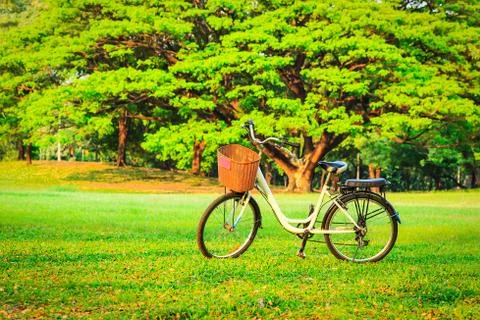 Bicycles in the park Stock Photos