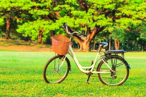 Bicycles in the park Stock Photos