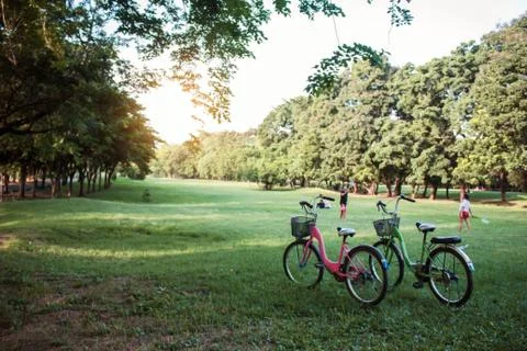 Bicycles in the park. Stock Photos