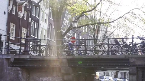 Bicycles parked on pavement Stock Footage 71536048