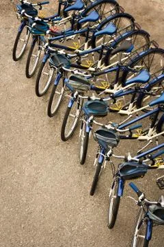 Bicycles Parked in a Row 库存照片