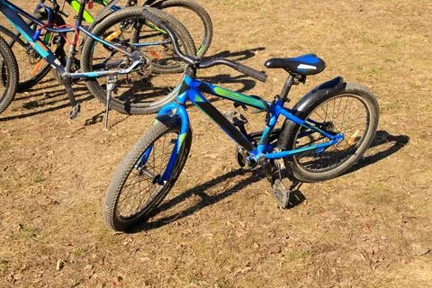 Bicycles on a path in a public park. The concept of active outdoor play and c Stock Photos