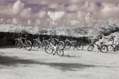 Bicycles Stock Photos