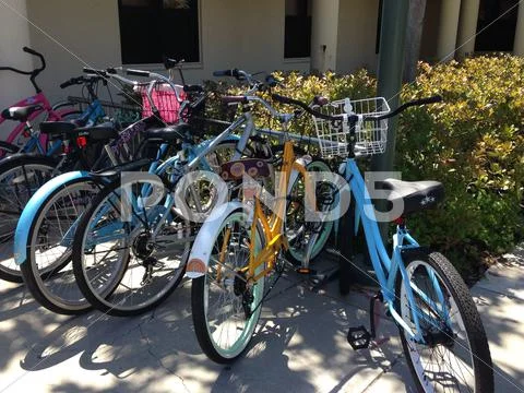 Bicycles on a rack Stock Photos