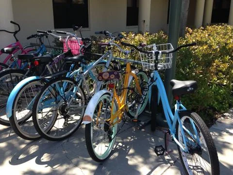 Bicycles on a rack Stock Photos