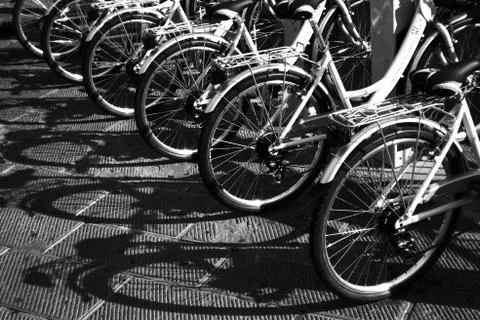 Bicycles in a row Stock Photos