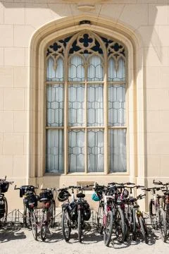 Bicycles stand in a row Stock Photos