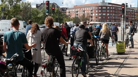 Bicycles Waiting At Red Light and Moving With Green Light Stock Footage 47222669