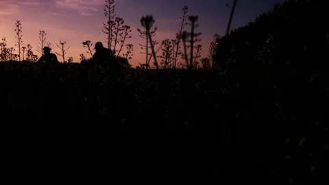 Bicyclesin the nature with yellow fields Видео 76483317