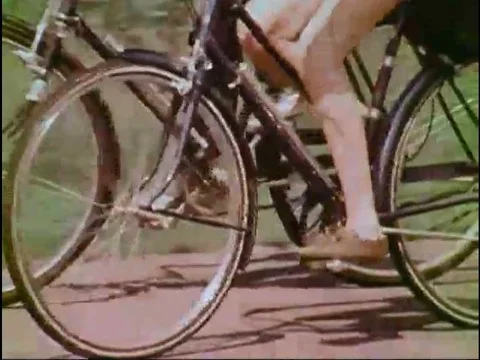 A bicycling couple are struck by a car and killed, in a Public Service Stock Footage