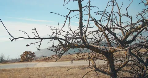 Bicycling in the mountain Stock Footage 163746093