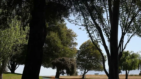 Bicyclist in the park Stock Footage 5089875