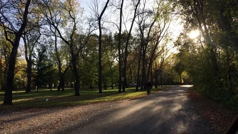 Bicyclist Through Park in Fall  Video stock 80845785
