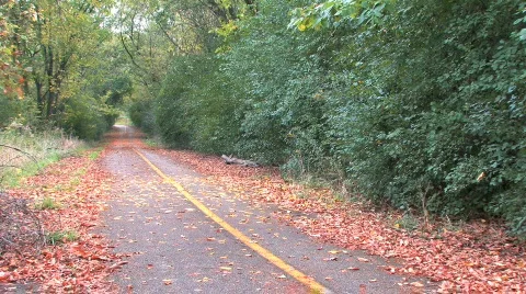 Bicyclist on Trail 3 Stock Footage 282837
