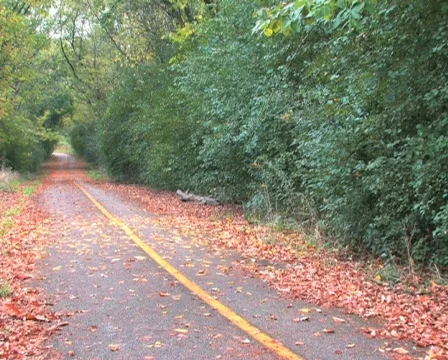 Bicyclist on Trail 3 Stock Footage 282861