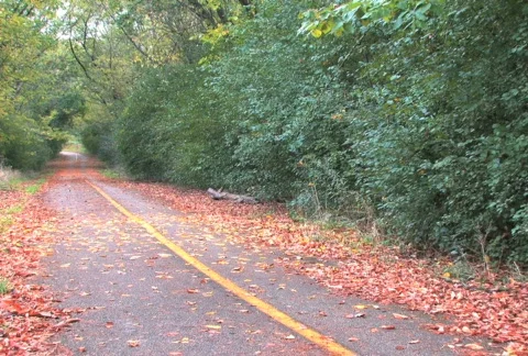 Bicyclist on Trail 3 Stock Footage 282867