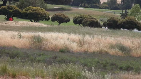 Bicyclists and walker in park Stock Footage 5325257
