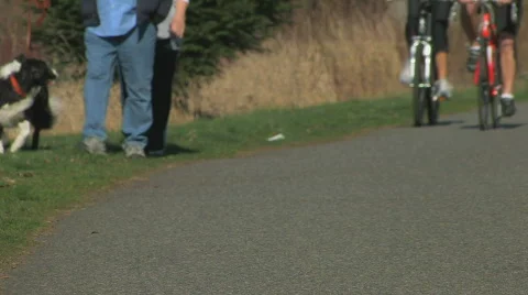 Bicyclists in park Stock Footage 646021