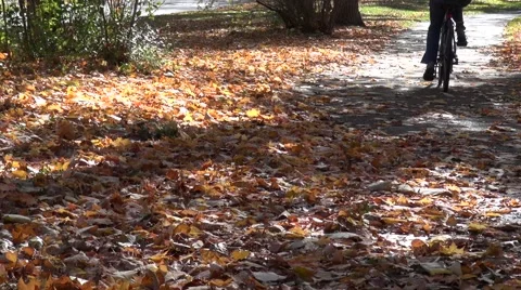 Bicyle in the park Stock Footage 57238743