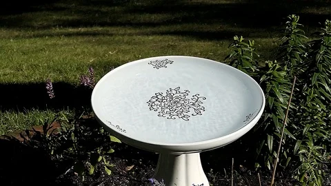 Bid lands at bird bath at sunset for a cool drink. Video stock 99753695