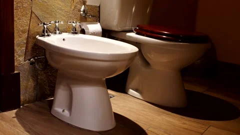 Bidet next to toilet, commode in a rustic looking bathroom Stock Footage 167617554