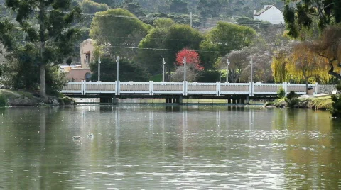 Bidge Over Pond Stock Footage 594437