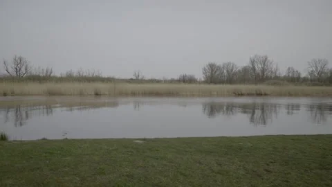 Bidirectional Pan along a River Stock Footage 203918413