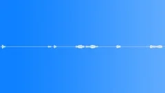 Bids chirping outside parkSound Effect