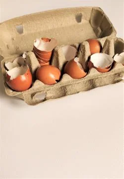 Biege shell halves of broken eggs in cardboard cells, top view, flat layout, Stock Photos