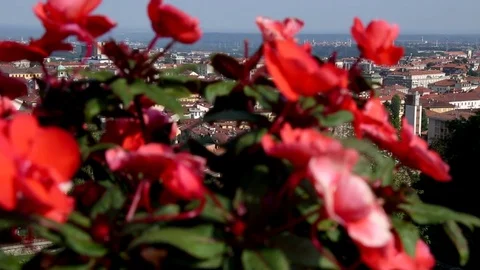 Biella Video stock 78542737