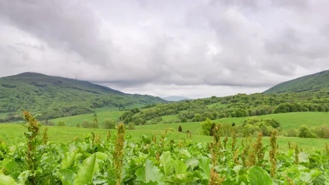 Bieszczady Mountains in Poland. Dramatic Stormy Weather Stock Footage 130272389