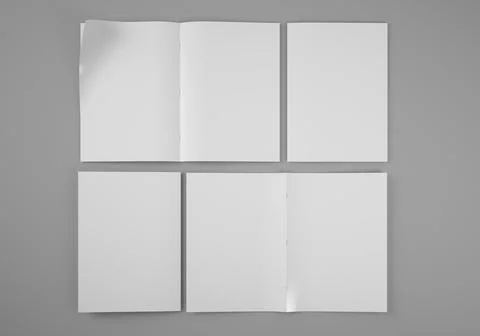 Bifold brochure top view Stock Illustration