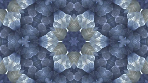 Big abstract light grey-brown flower. Stock Footage 104084043