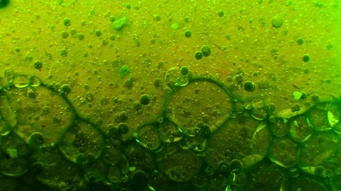 Big air bubbles exploding into green fluid Video stock 103200775