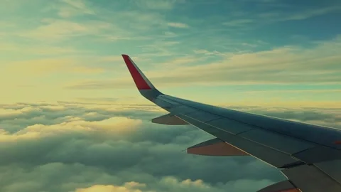 Big airplane wing window view flying above the clouds at sunset golden hour Stock Footage 292631897