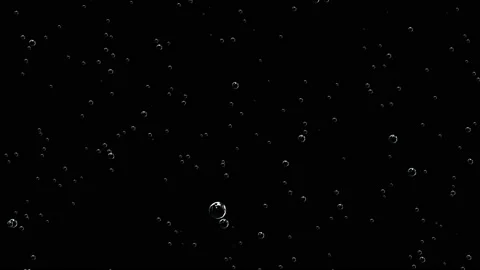 Big and small bubbles rise up. Fantastic structure of bubbles. Chaotic motion. Stock Footage 118981403